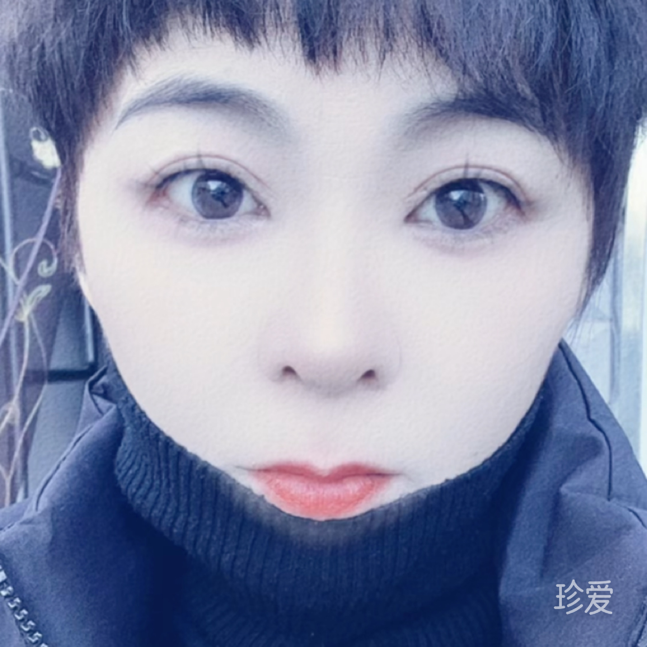 风间的绿叶