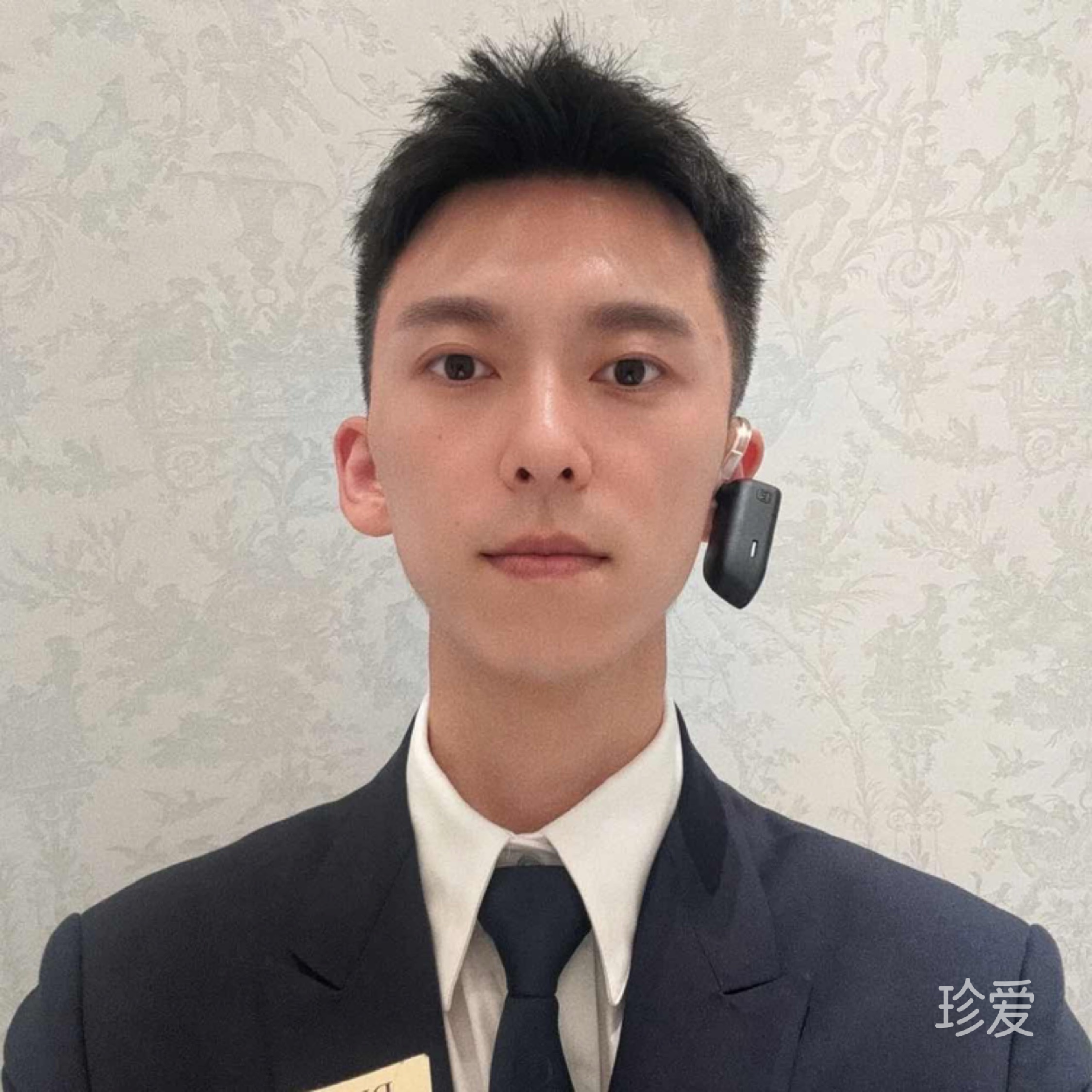 风欲止