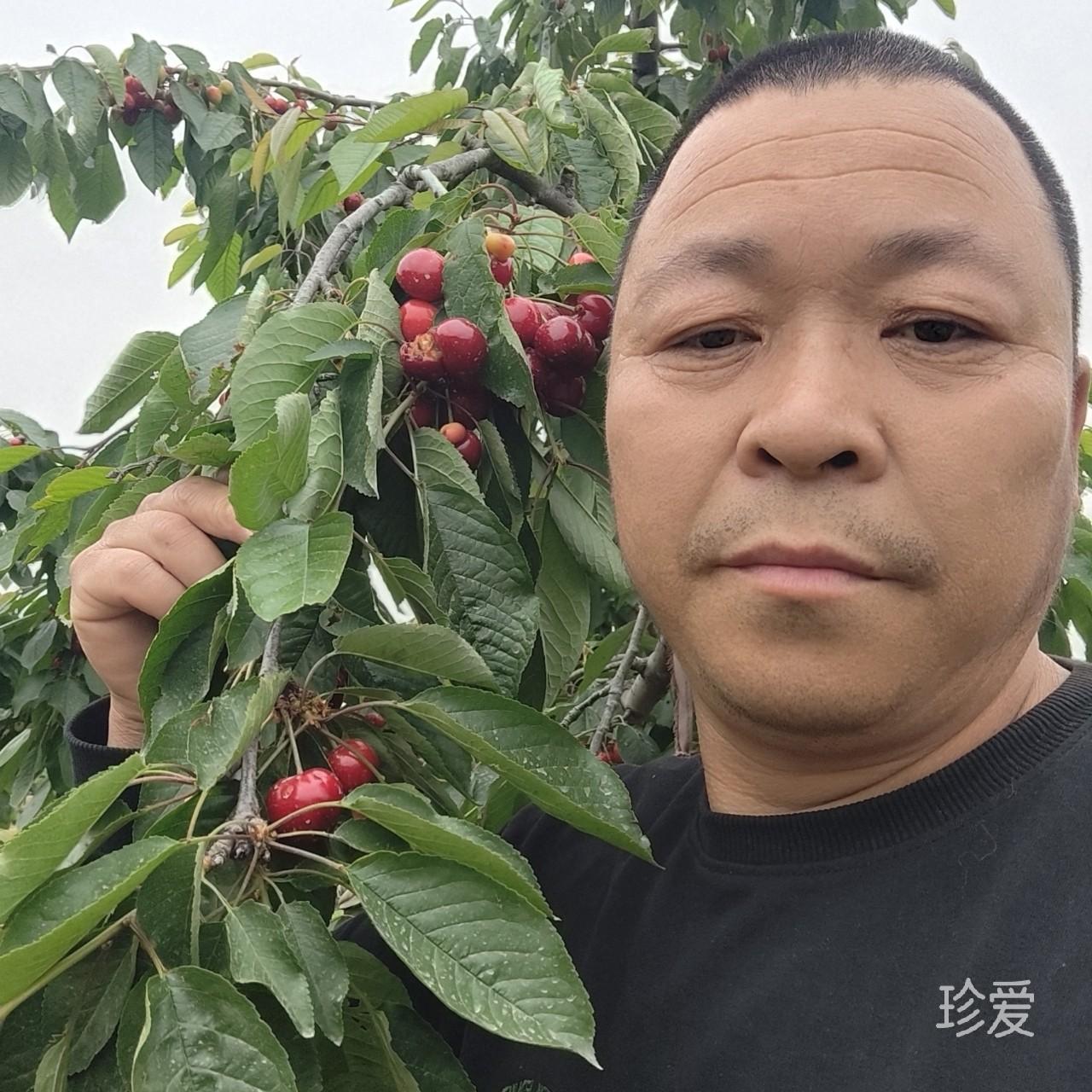 平平