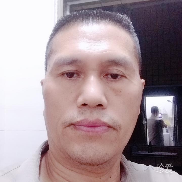 我的爱情在哪里