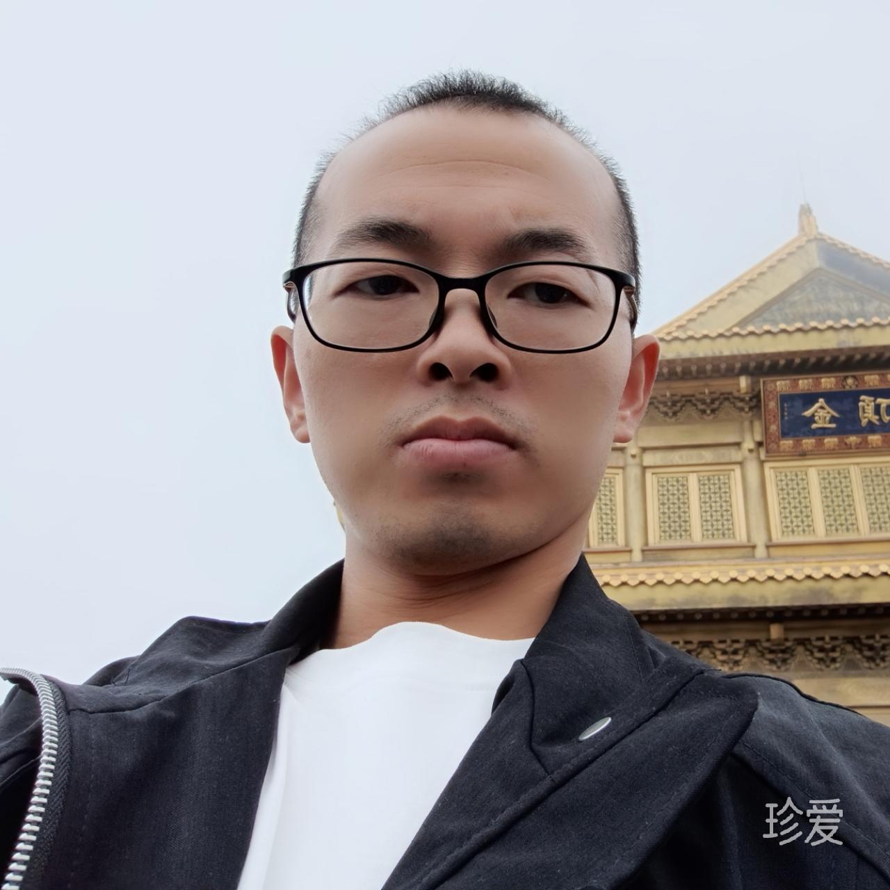 游子归来