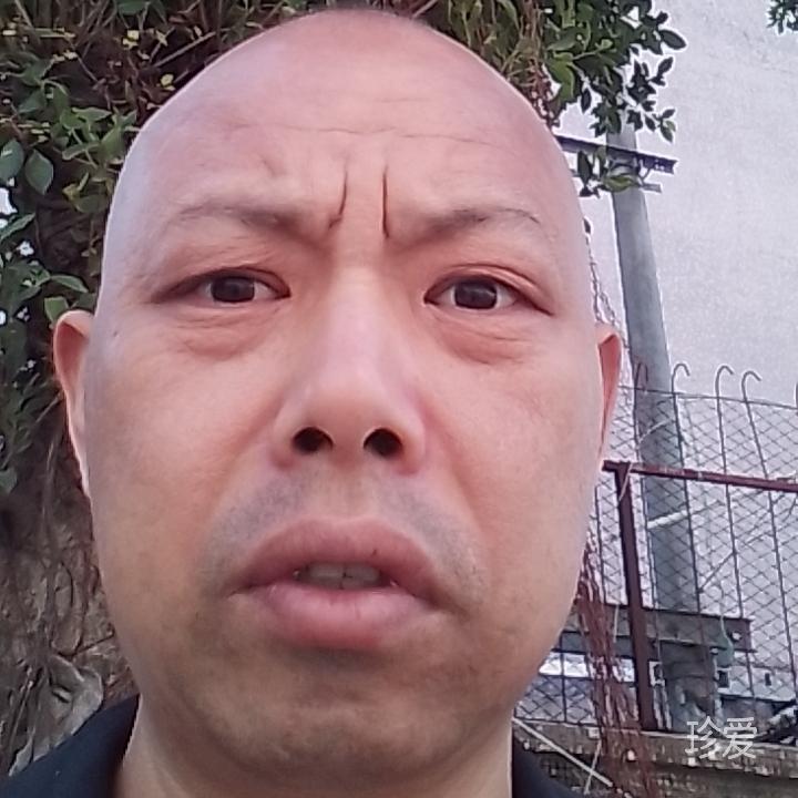 孙宾