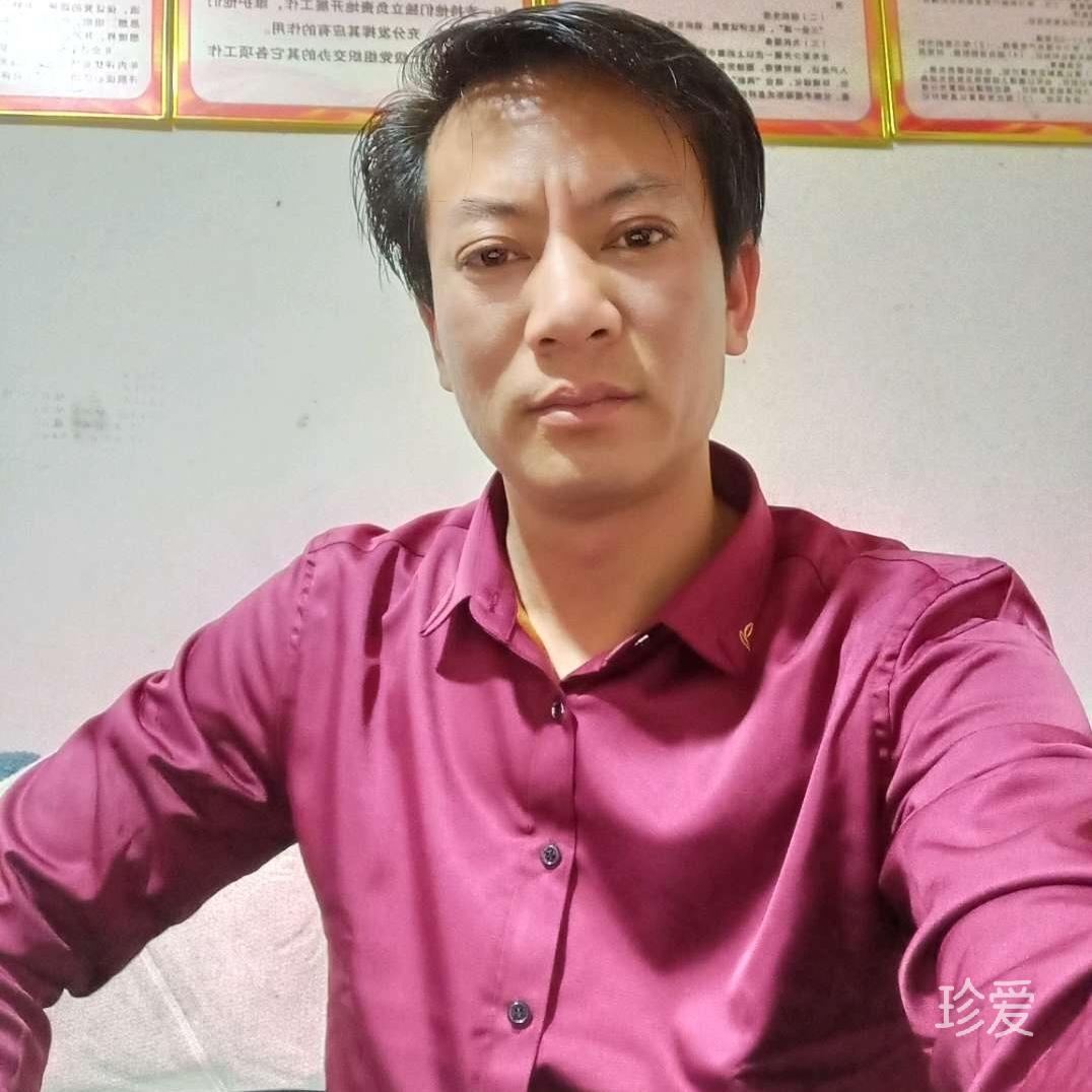 由安