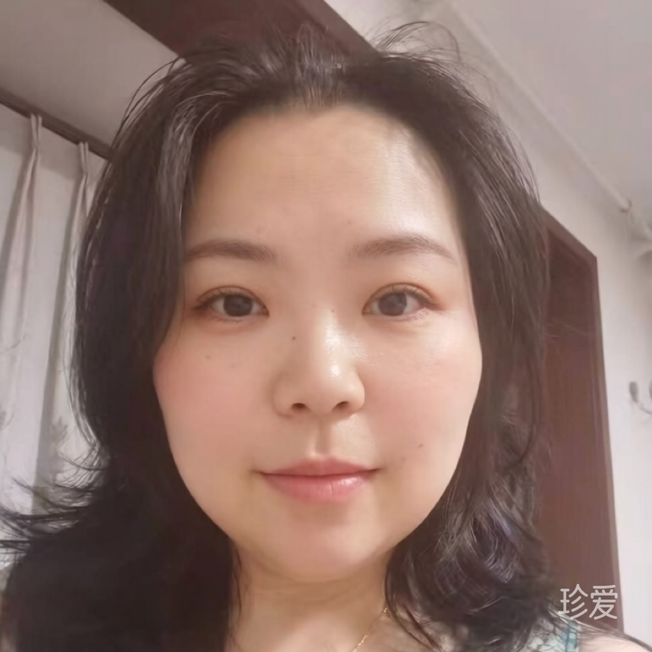 粉色玫瑰