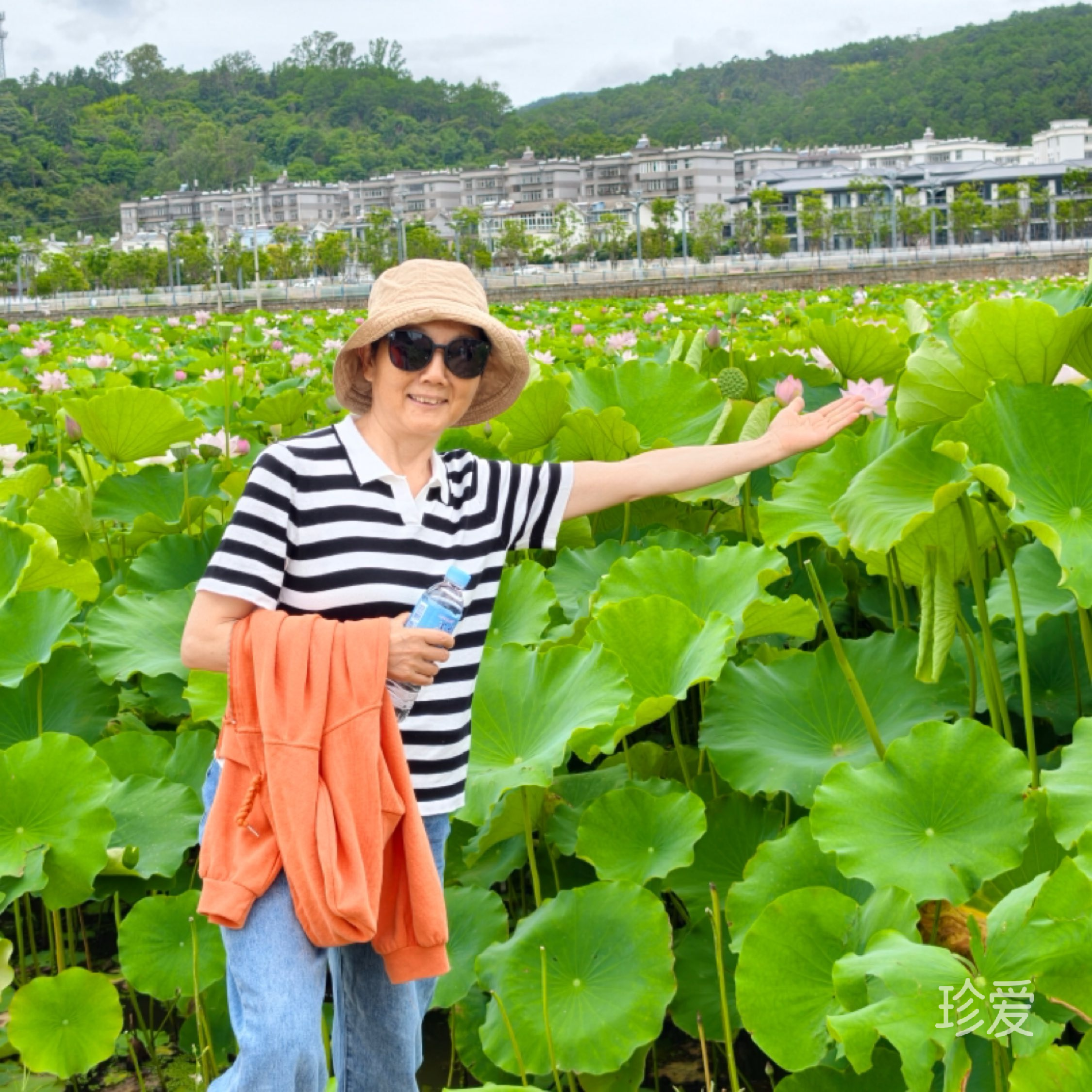 小飞