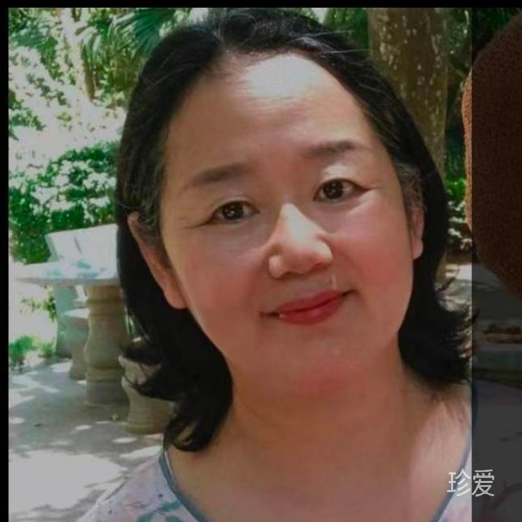 寻爱的小鸟
