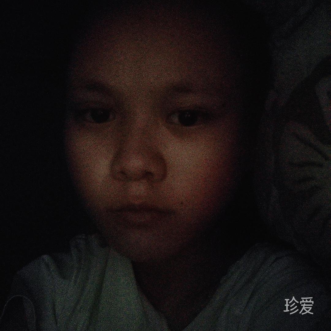 小熊软糖酱