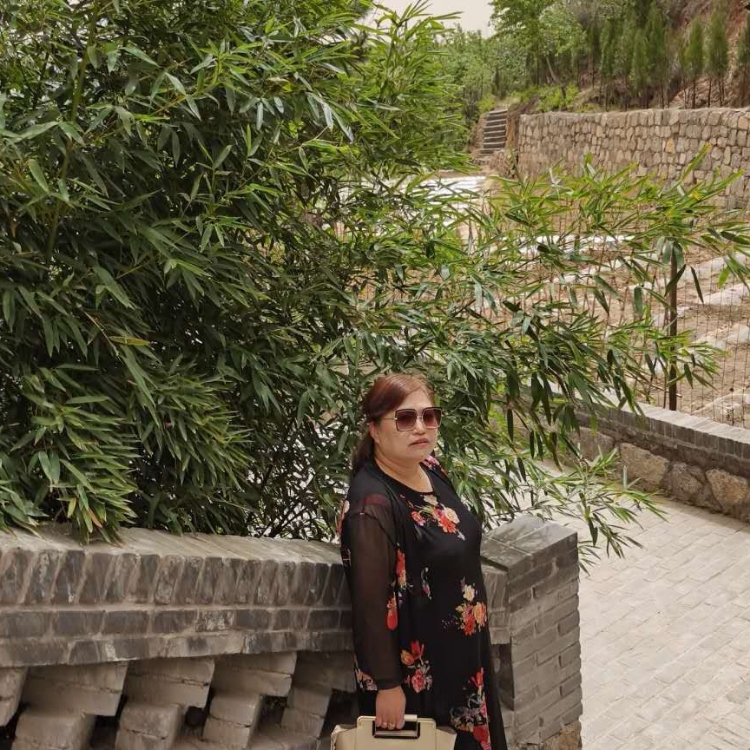 風雨飄搖風雨漂搖