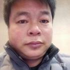 春風(fēng)吹又生