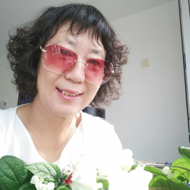 悄無聲息七色人生