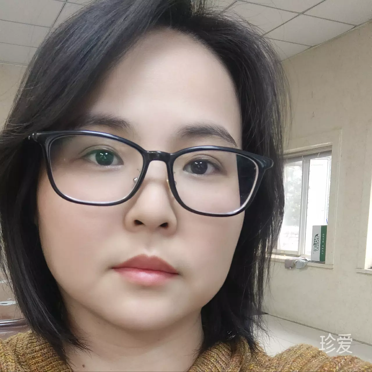 淡淡世情