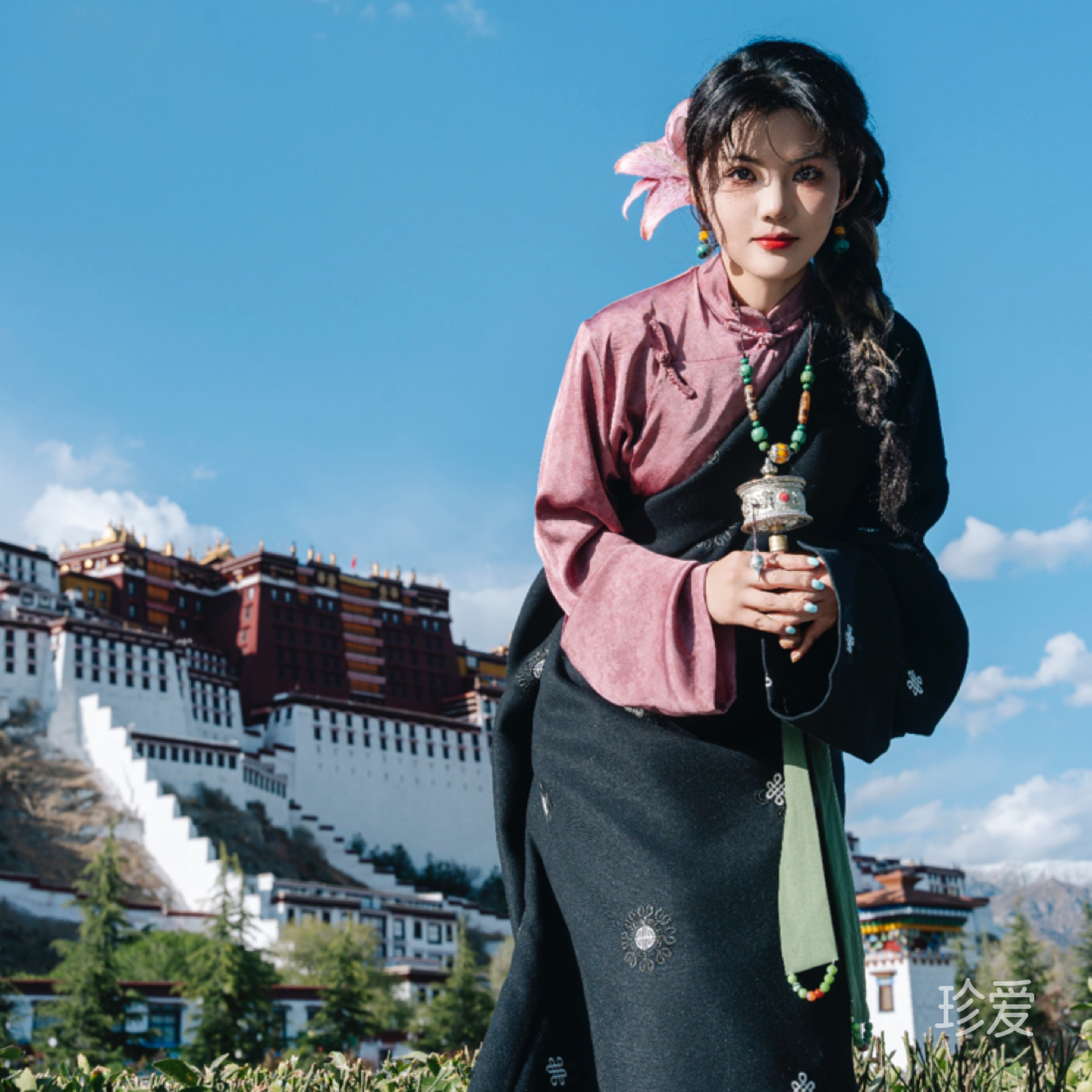 陽(yáng)光下的海鷗