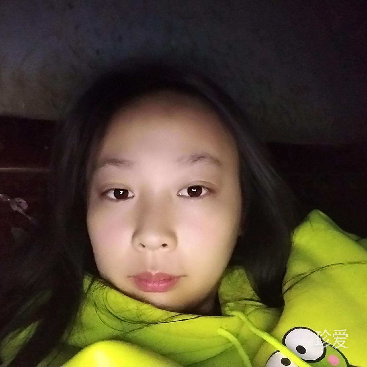 海底的猫