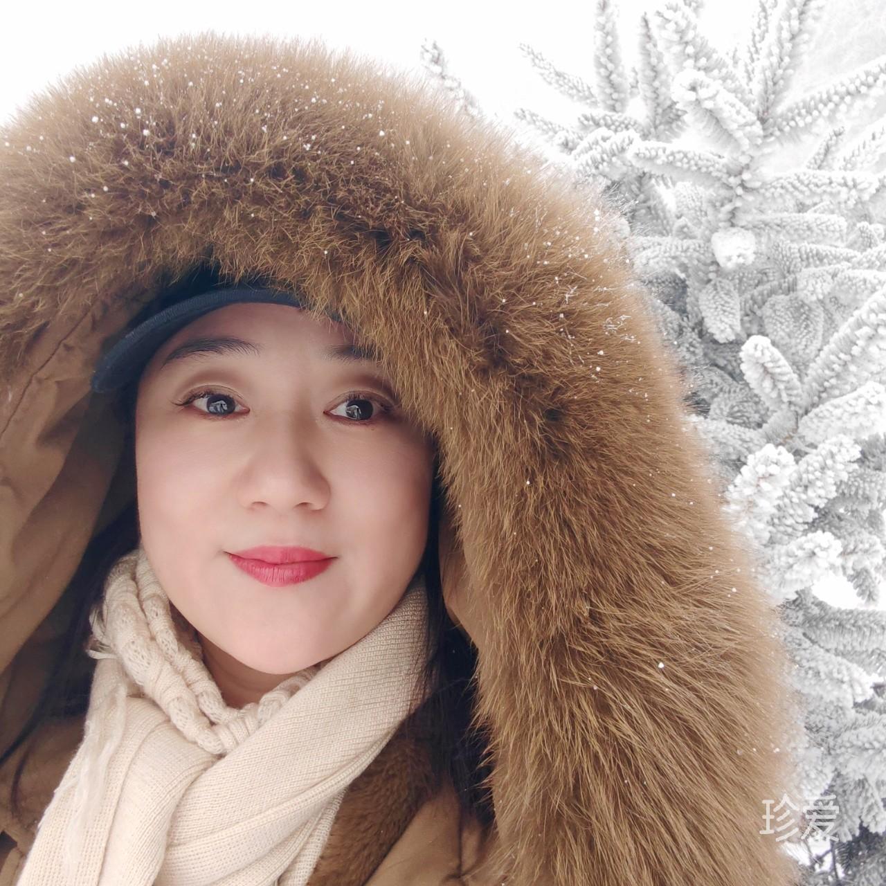 不是红袖不添香