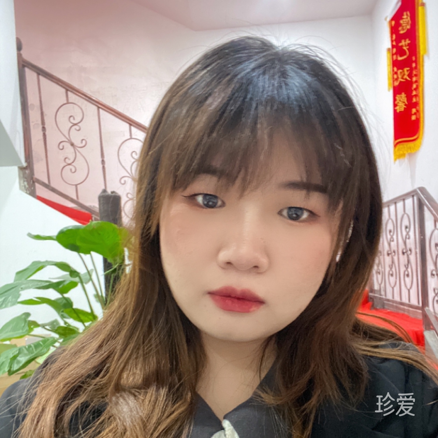 陽光彩虹小白馬