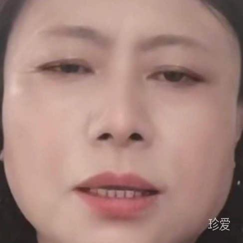 波斯猫