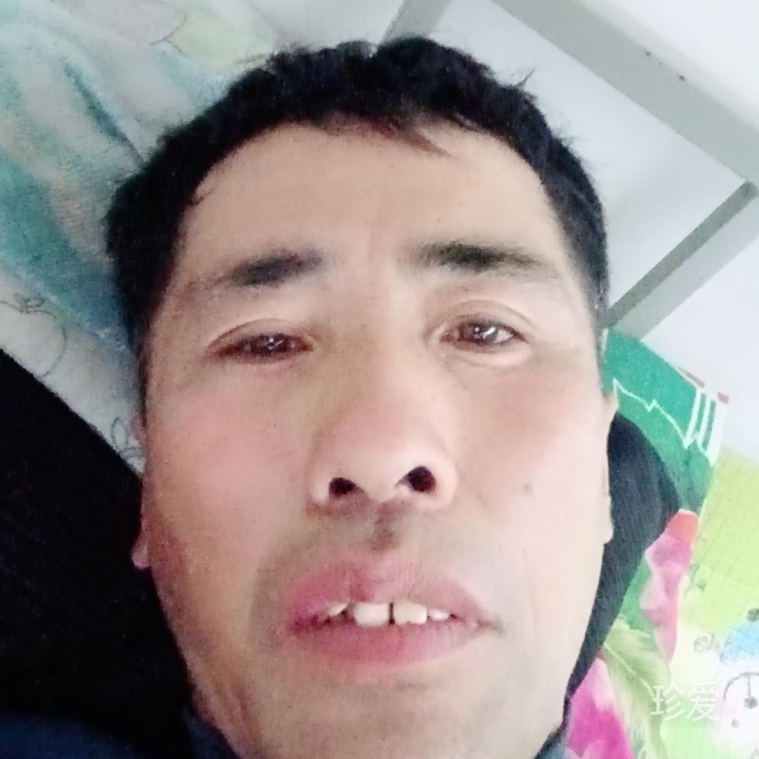 雨夜孤客