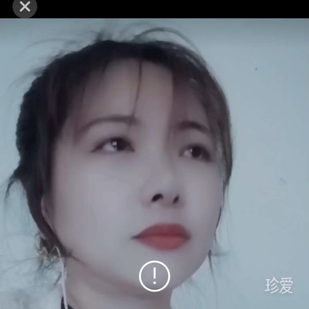 紫蝴蝶