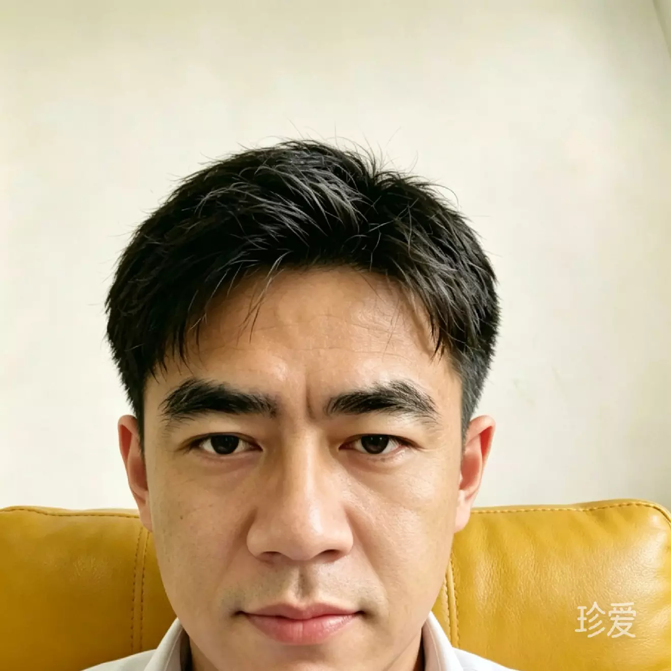 如风似水