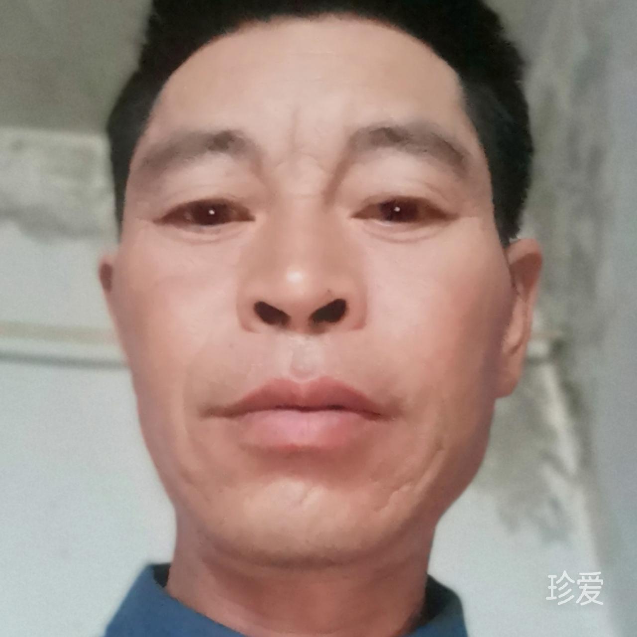 真心相伴