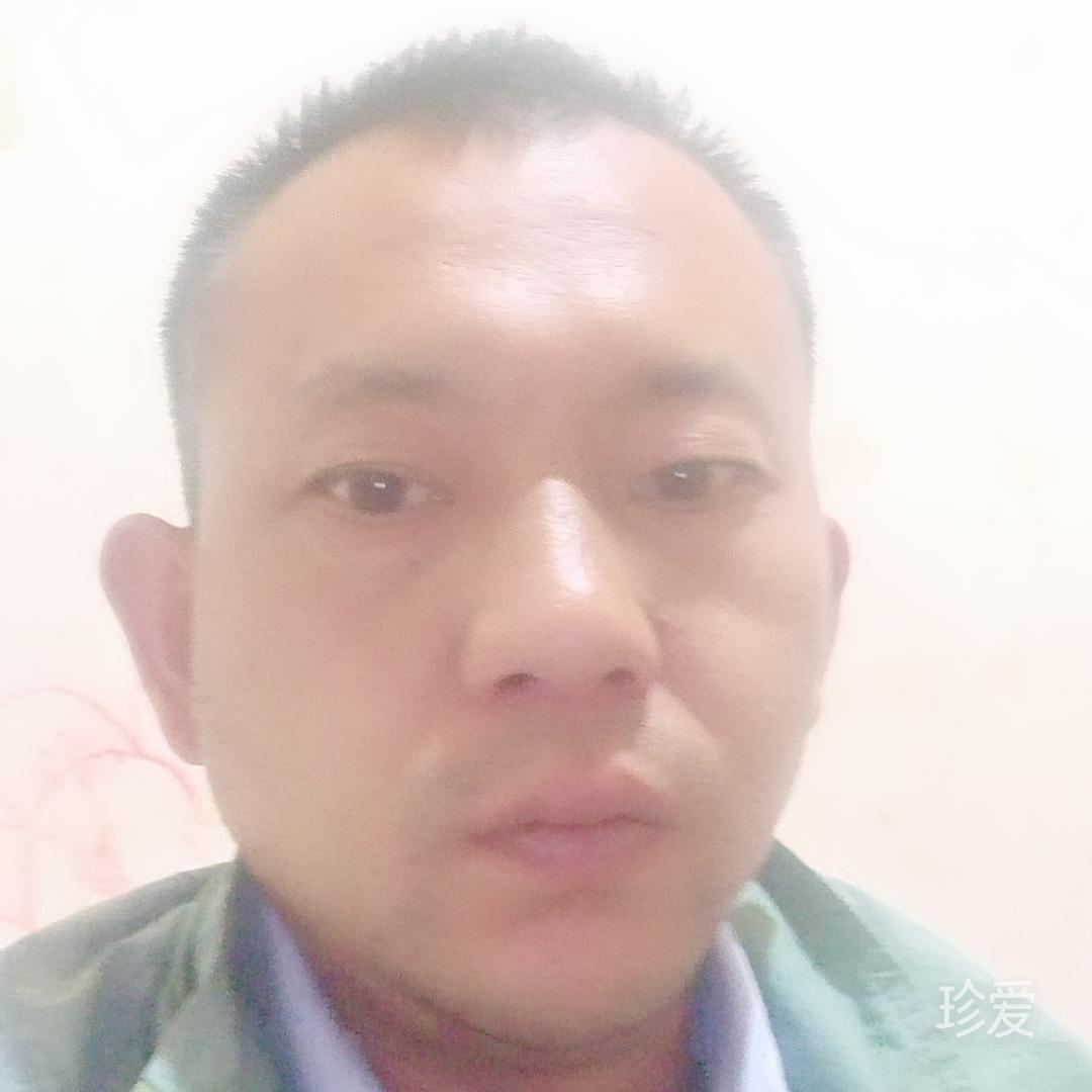听风的鸟