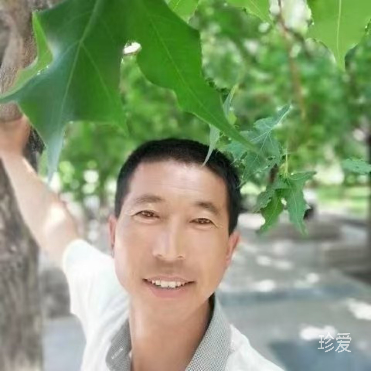 醉翁之意不在酒