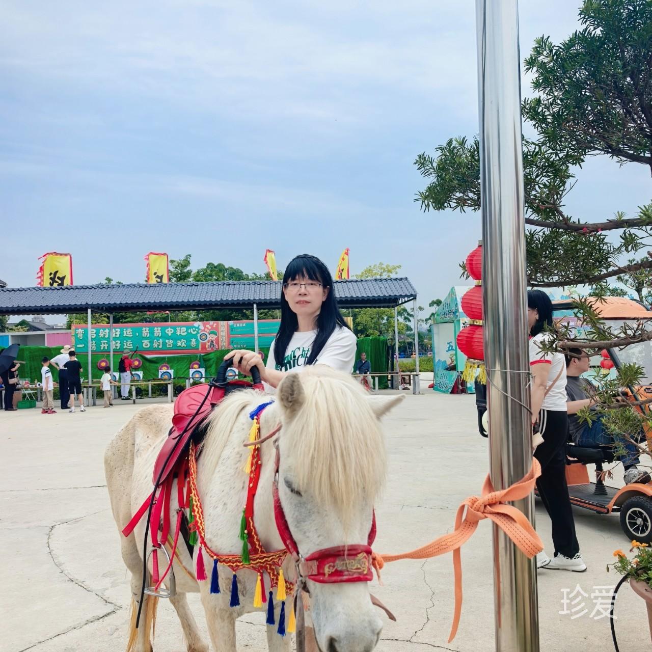 小绵羊