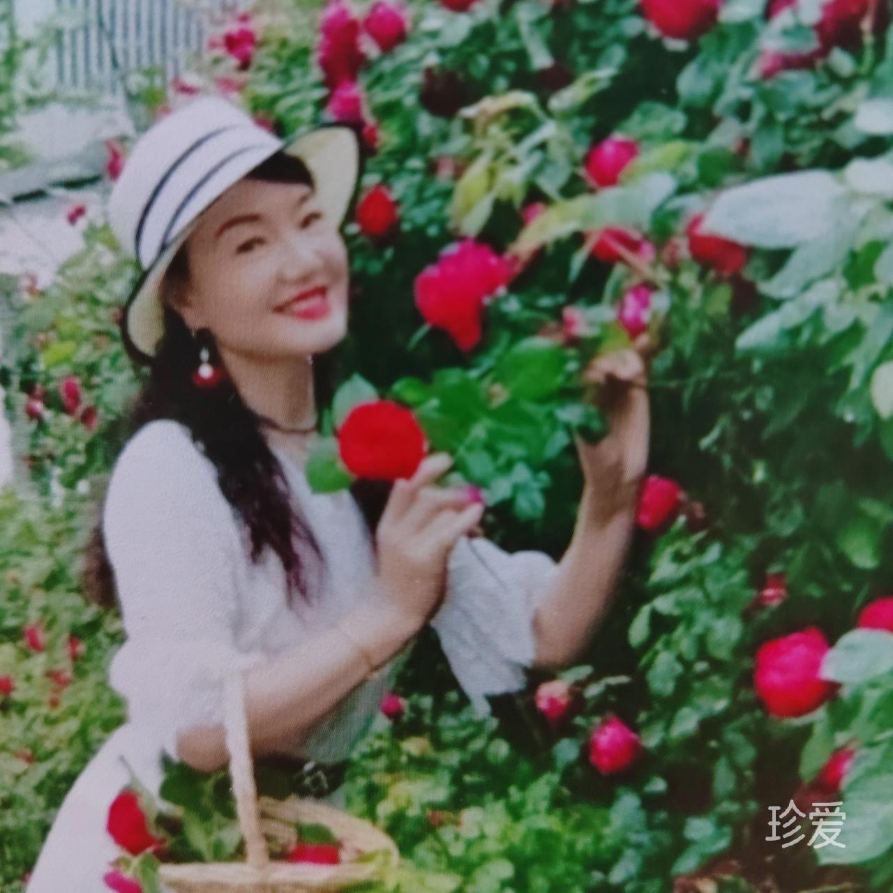 微微一笑很温暖