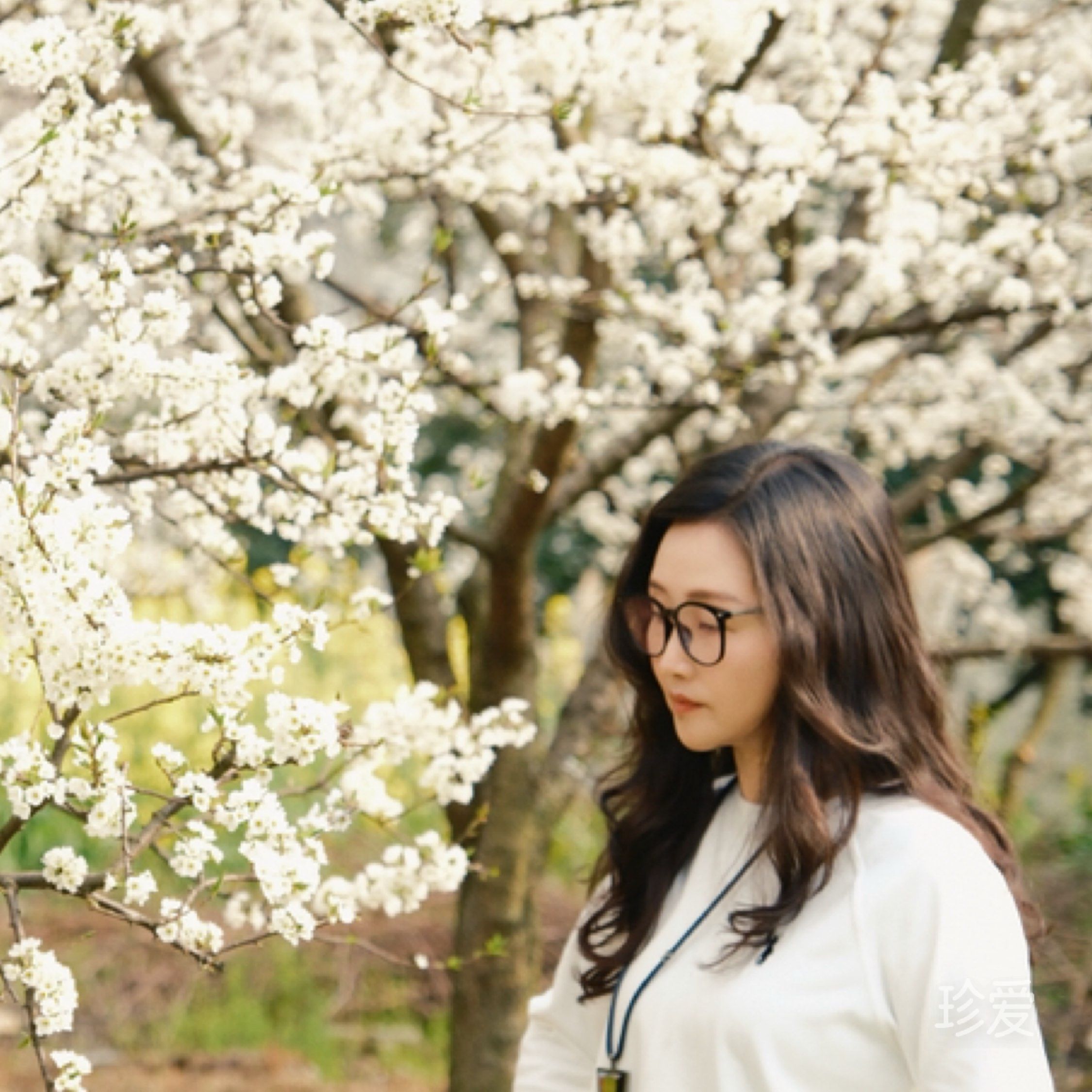 九如