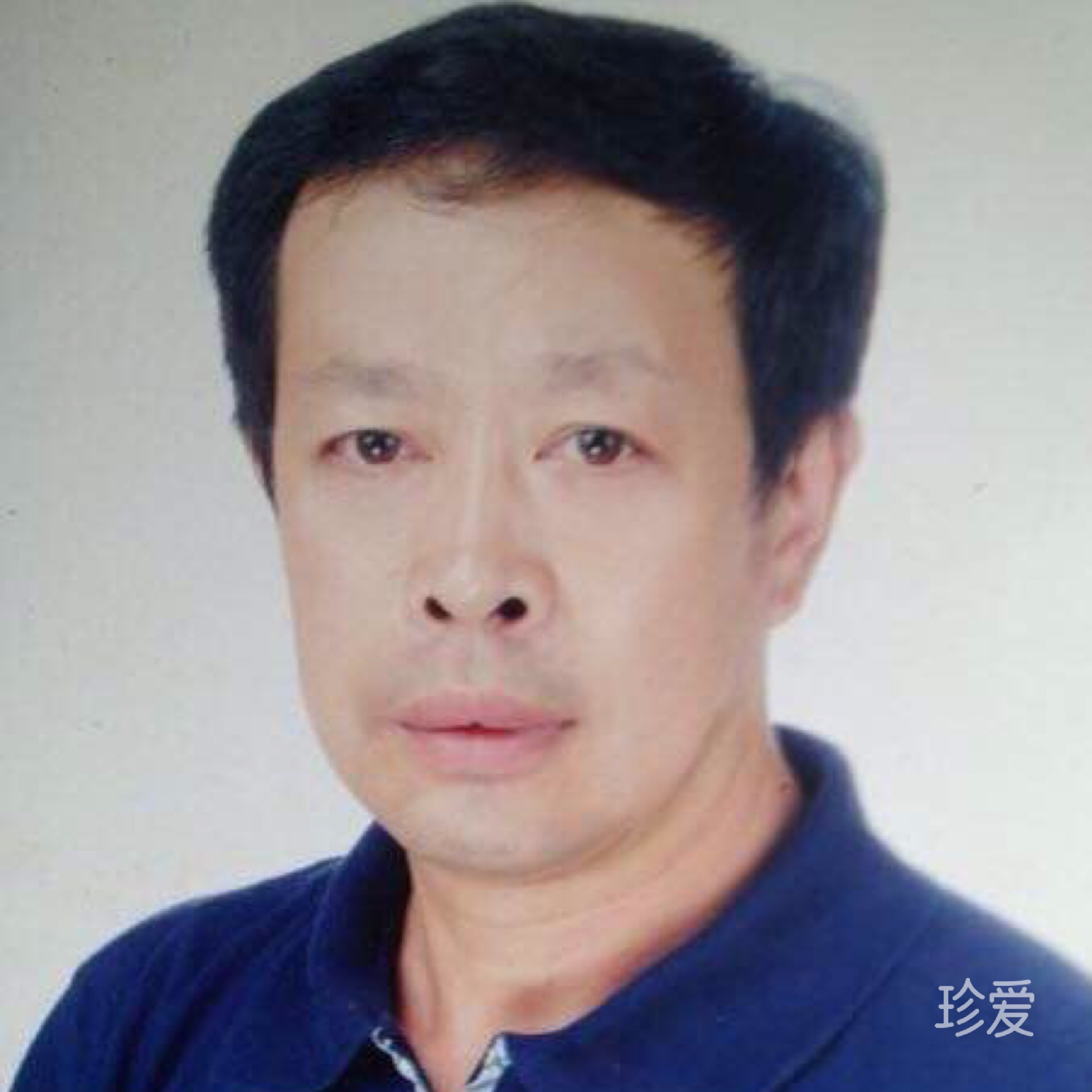 嘉魚南街32號熊