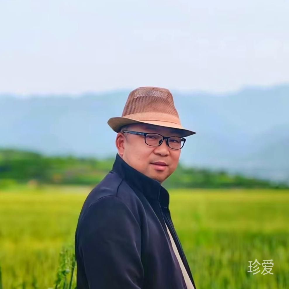 从头再来