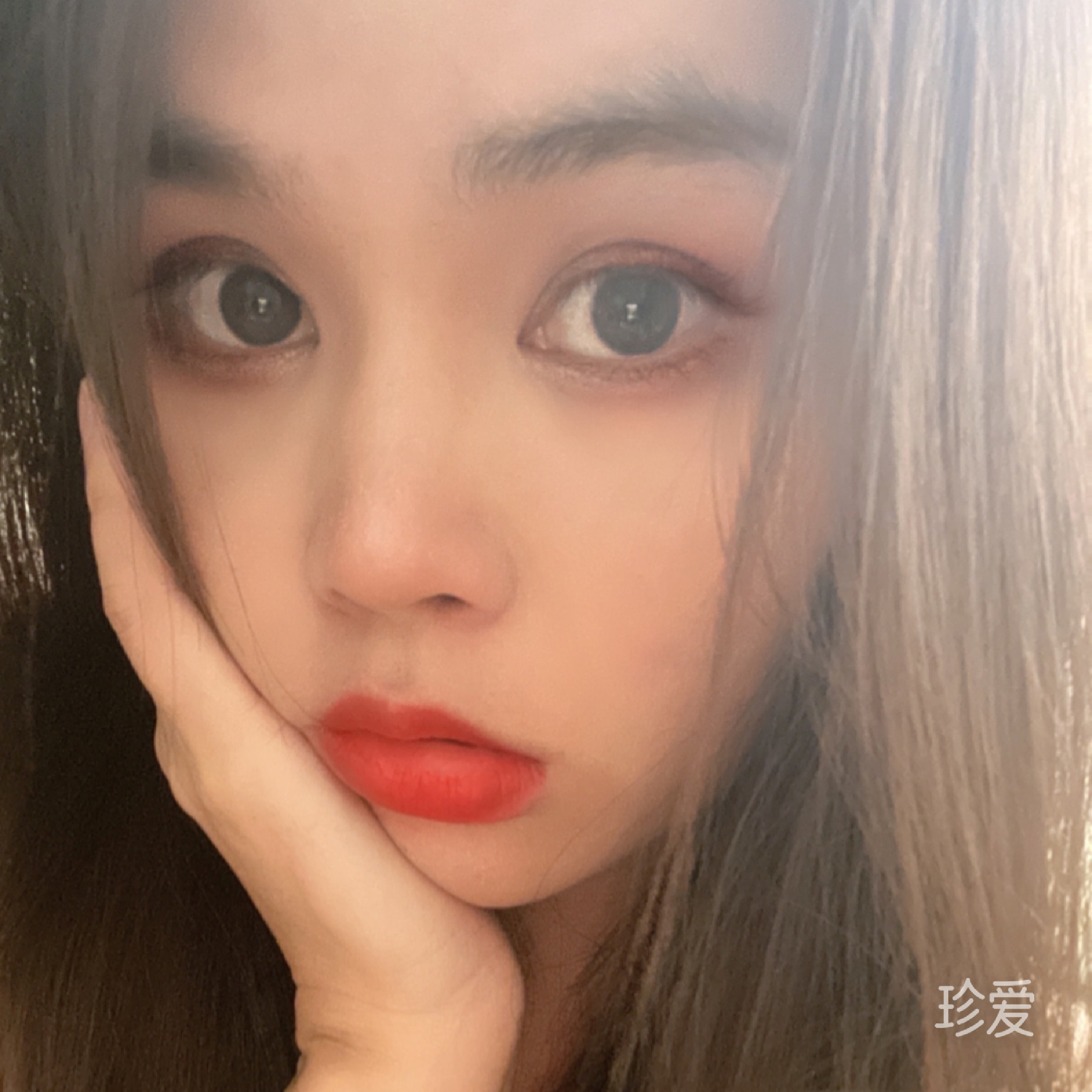 抱魚(yú)睡覺(jué)的貓