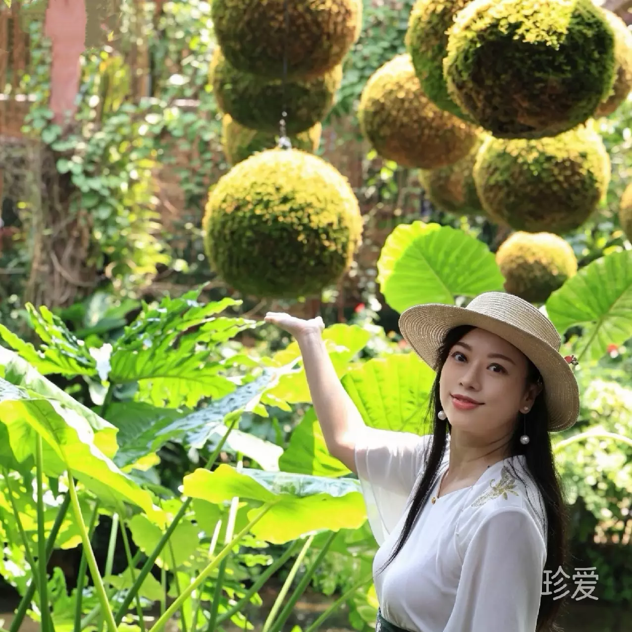 顺儿姐