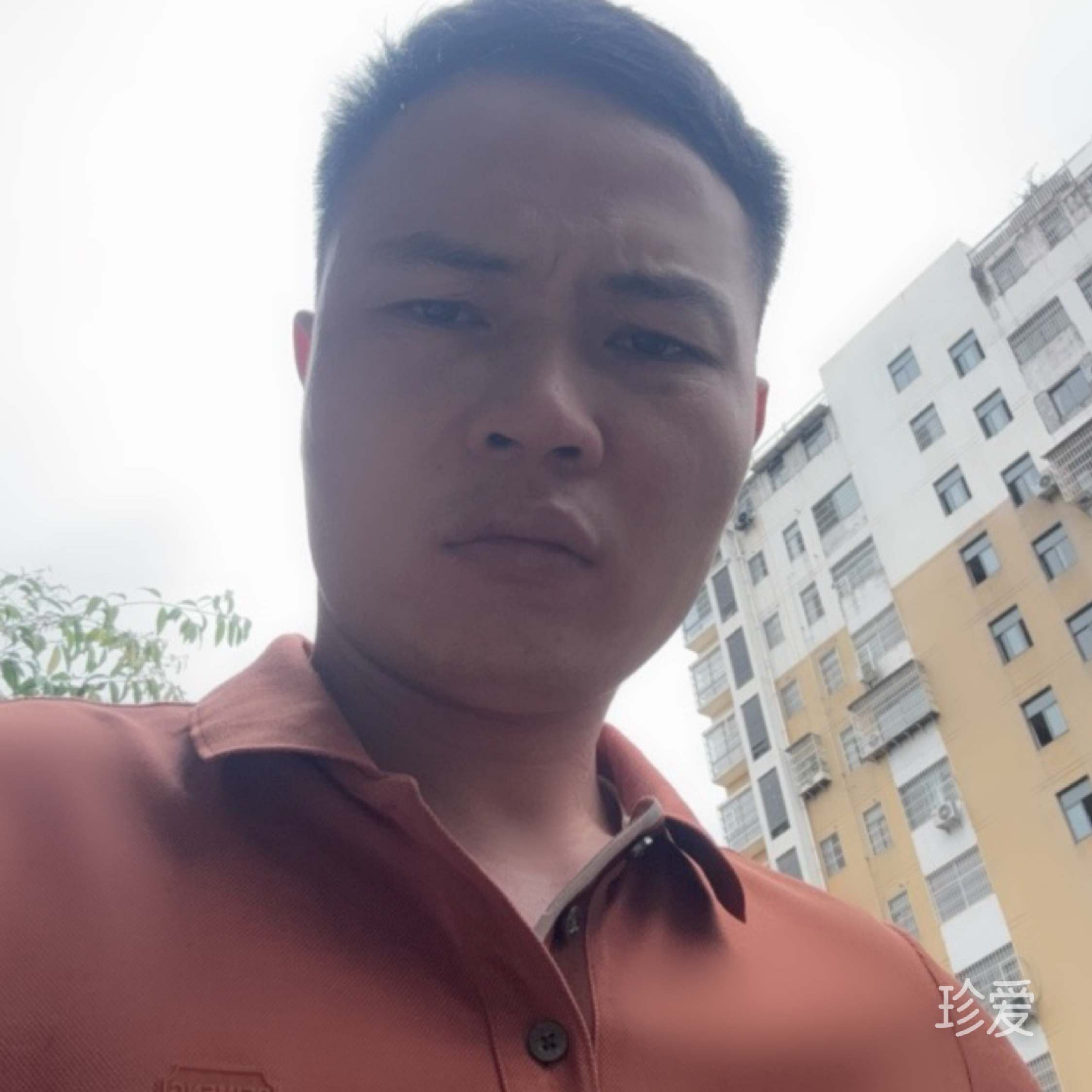真诚