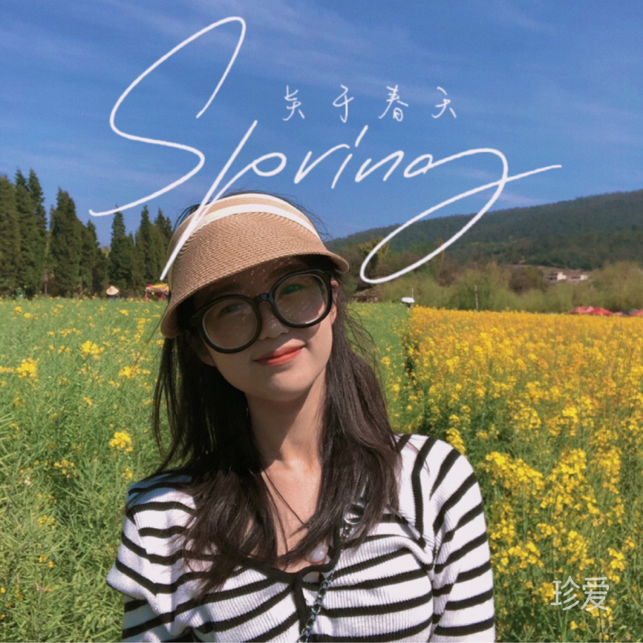 奶油肚的卷毛趙