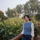 菲兒