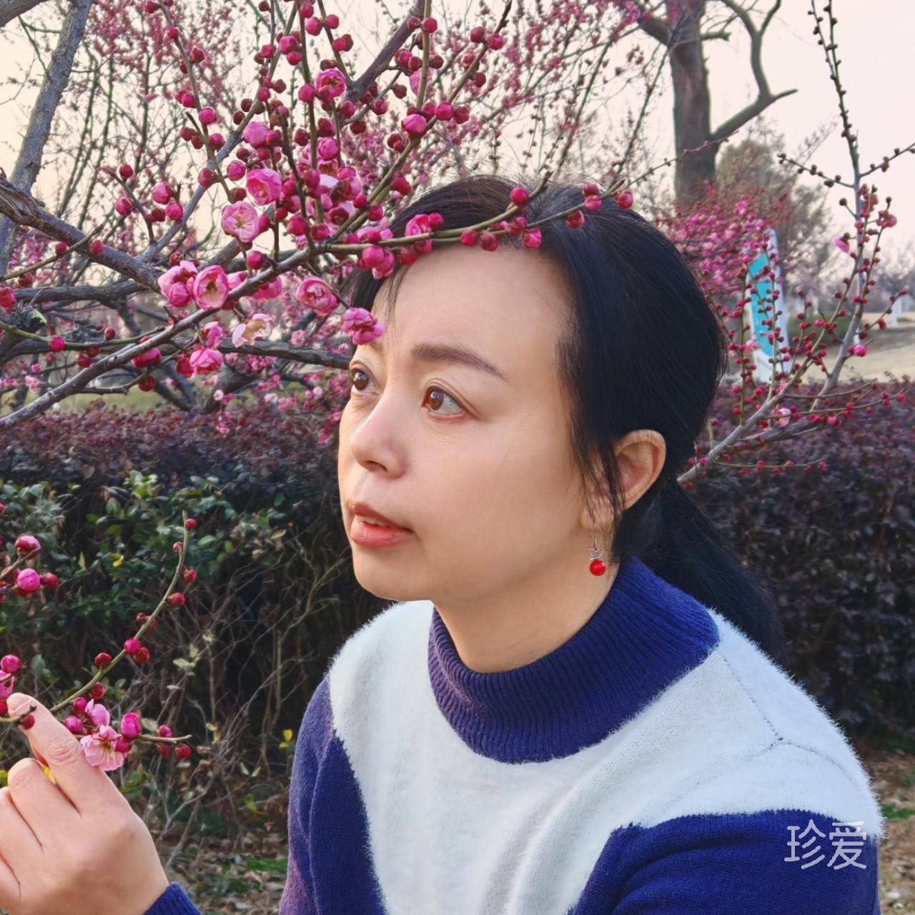 菲儿