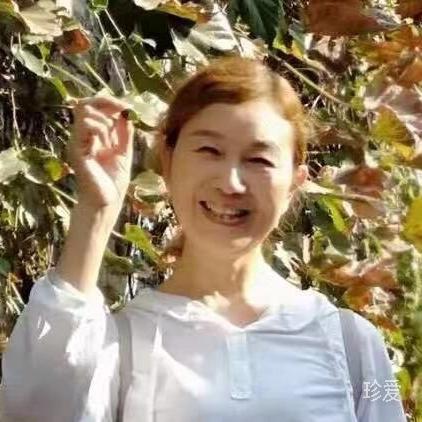 月光下的兔子