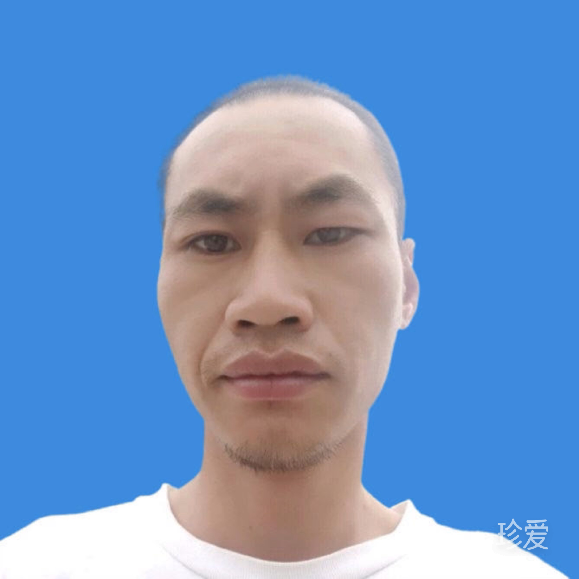 肥张