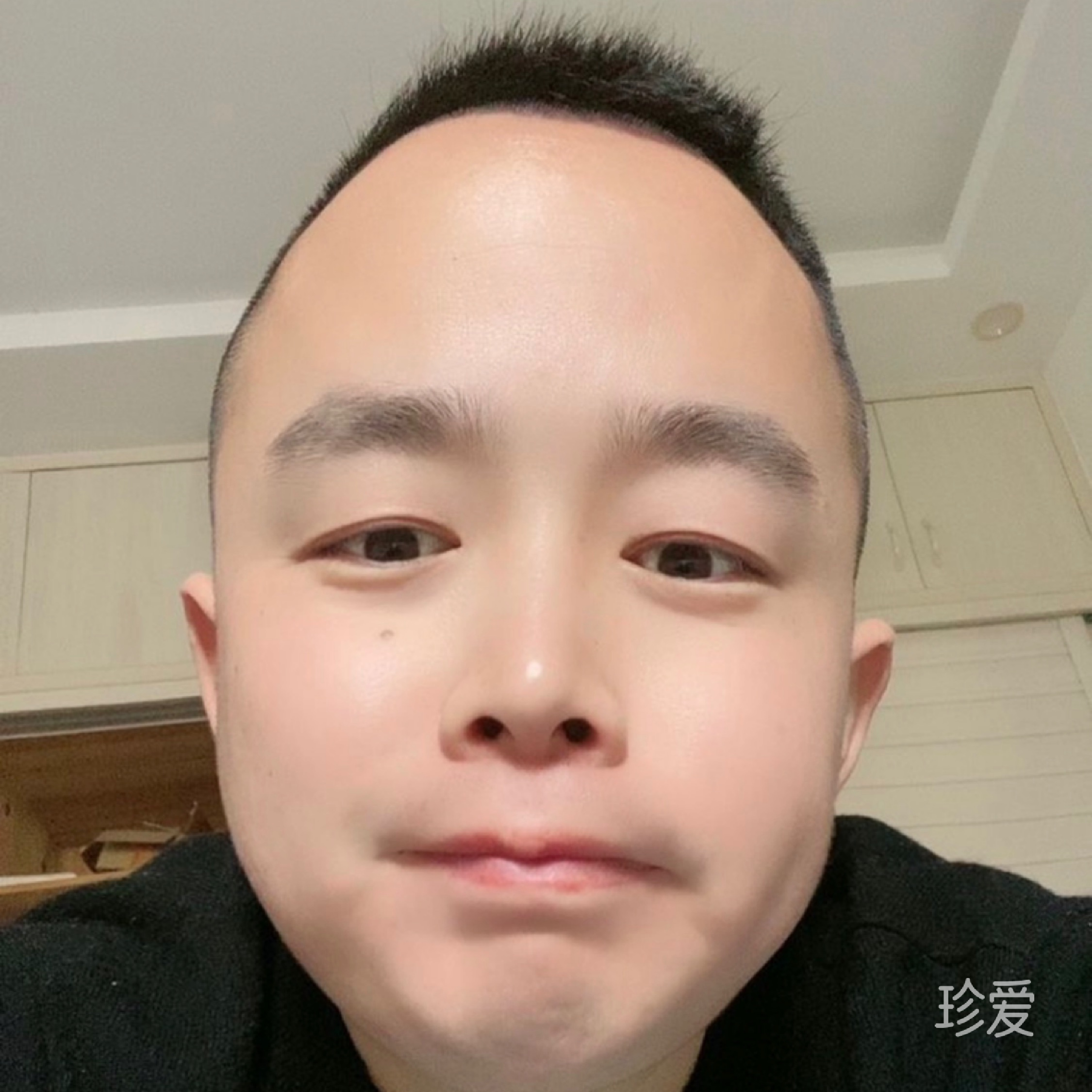 奔奔