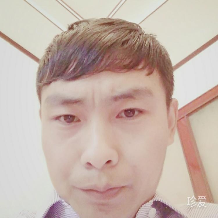 走向阳光
