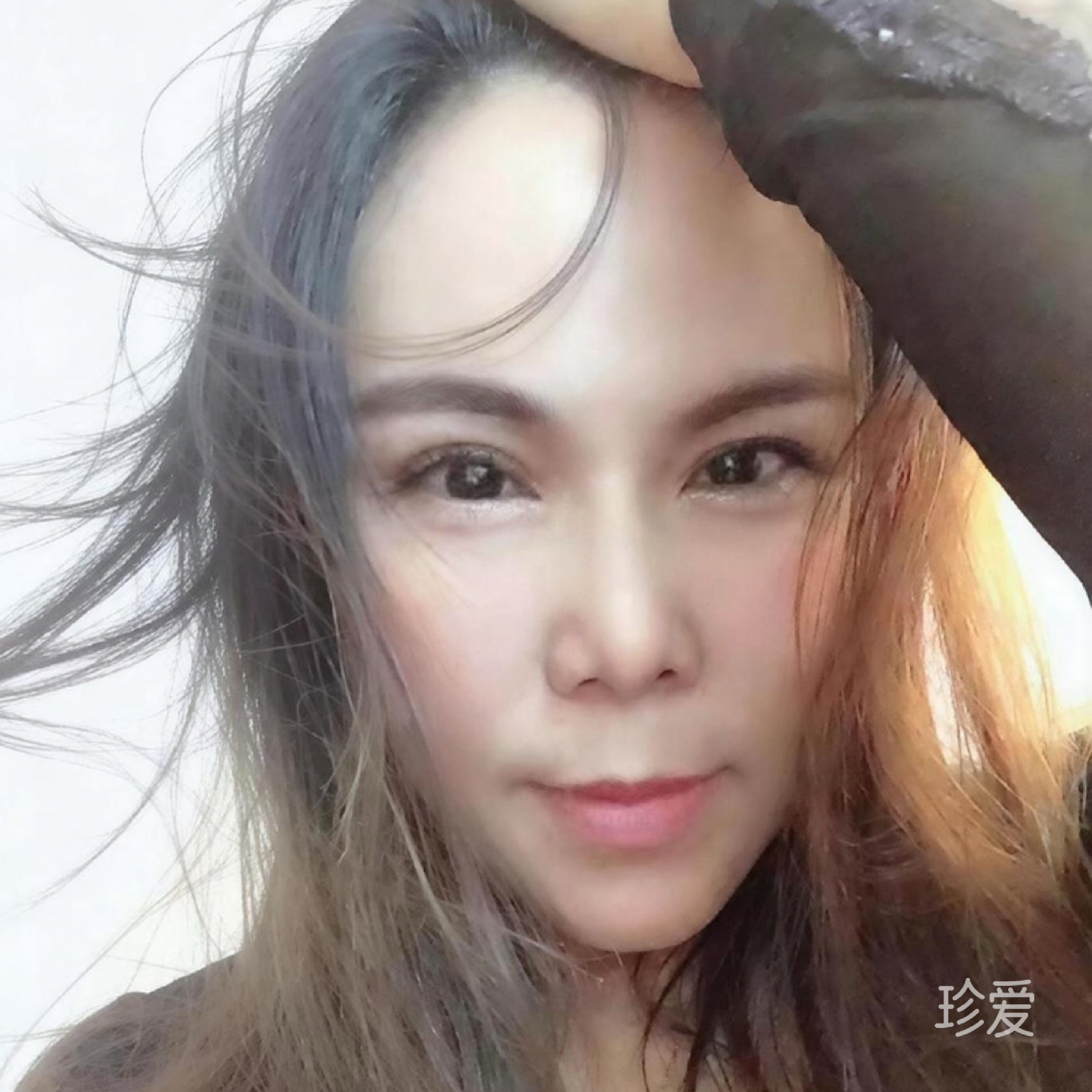 紫梦缘