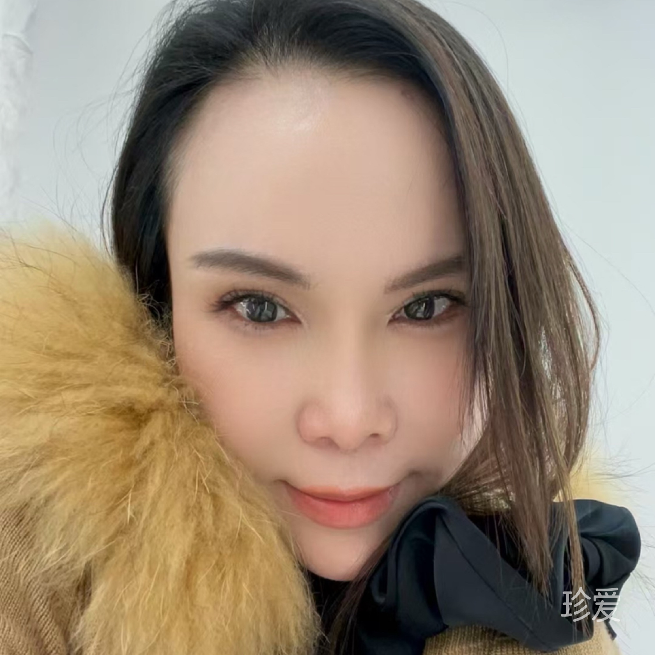 紫梦缘