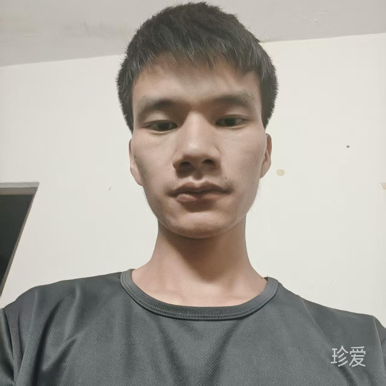 夢(mèng)想去流浪