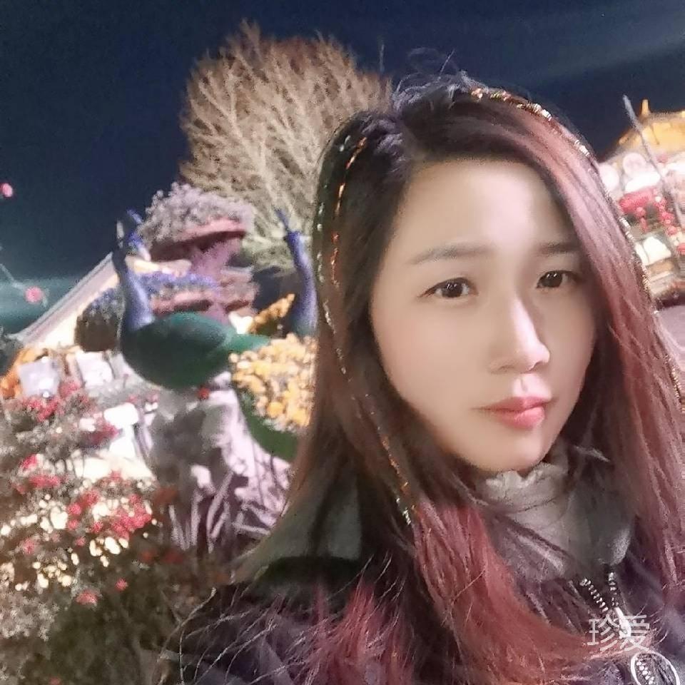 茶花开了