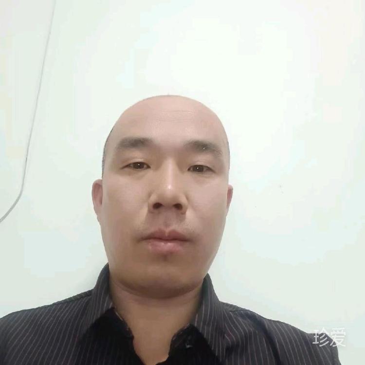 雨后枫叶