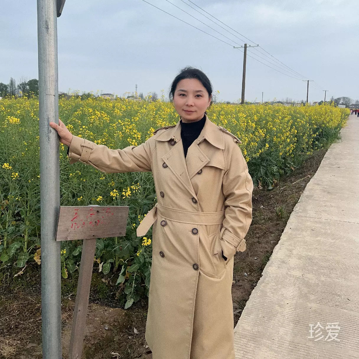 心若芷水