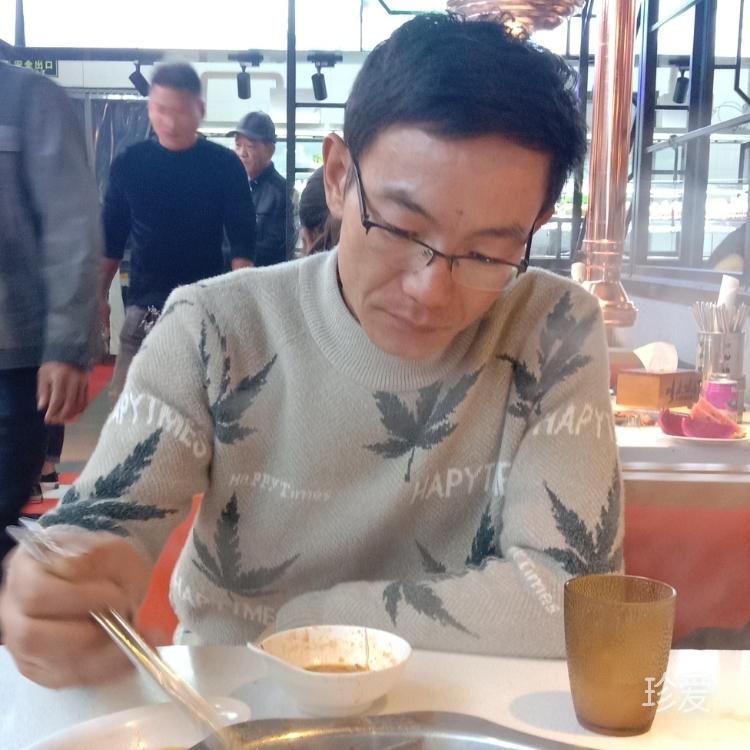 我的她你在哪里