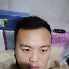 楊洋