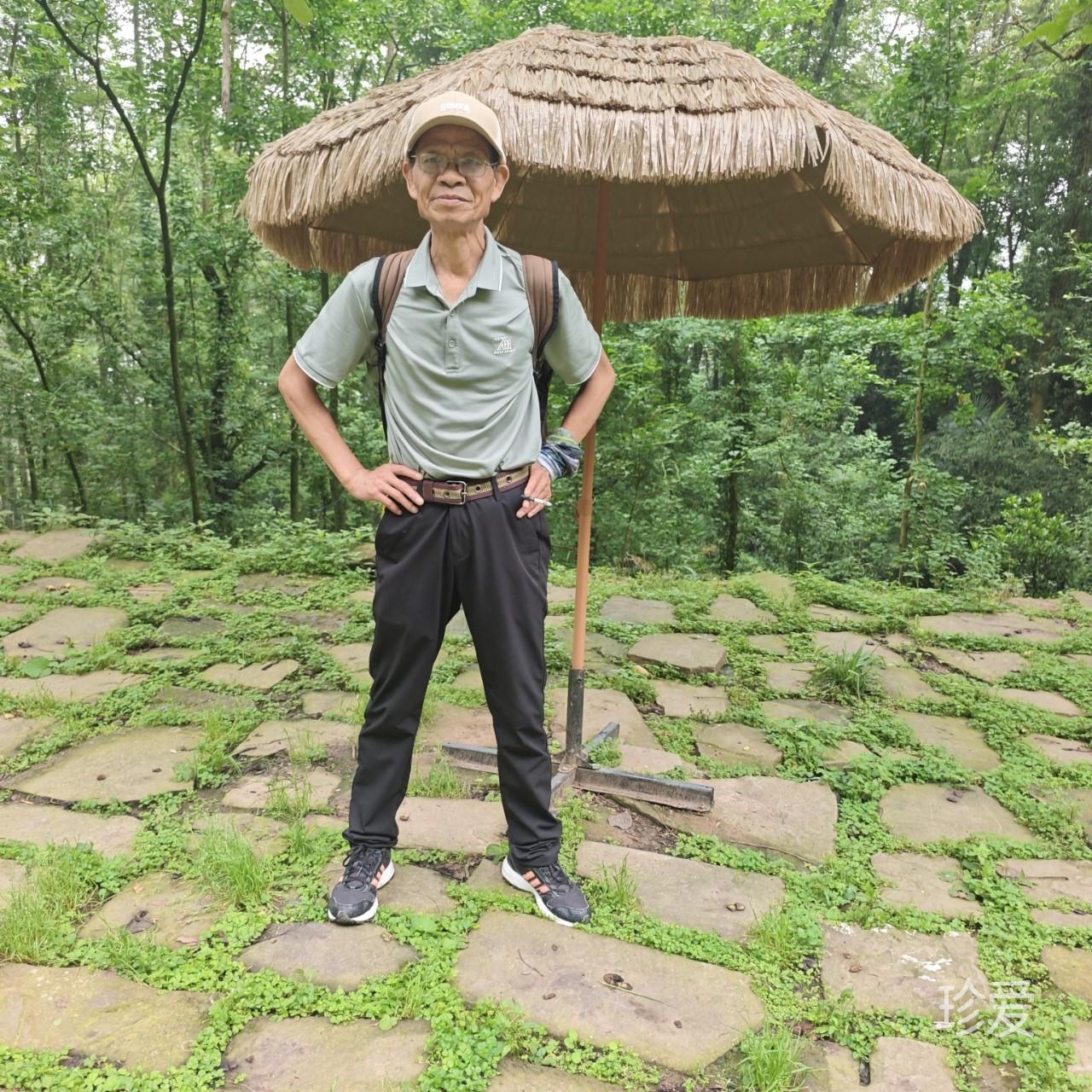 戇居居
